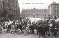  1900-1914 Le Marche aux Chiens de Bordeaux_new.jpg 